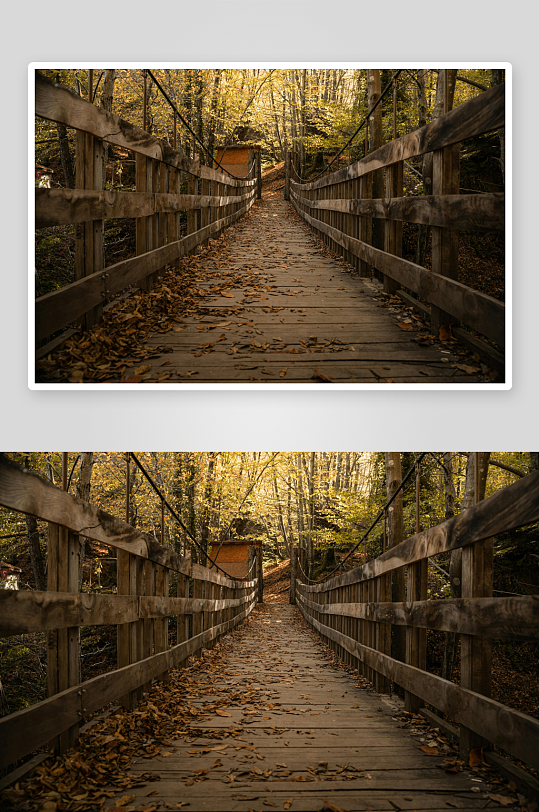 秋日林间木桥落叶满径-众图网