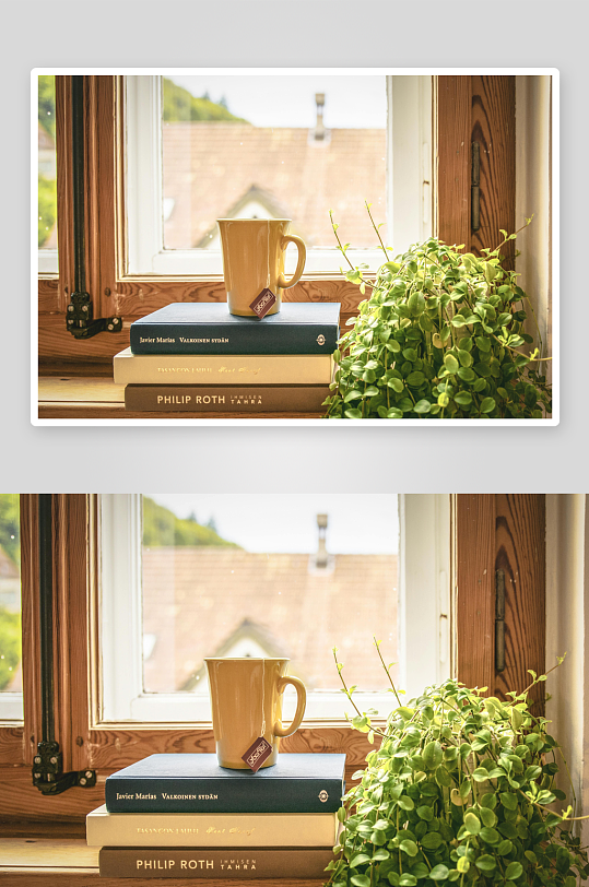 窗台书杯绿植静景-众图网