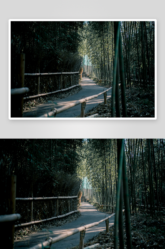 竹林小径幽静深远-众图网