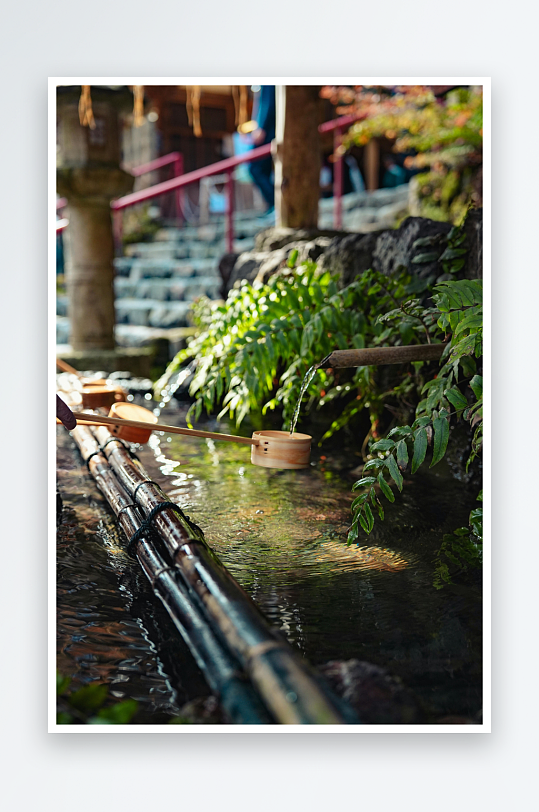 竹管流水与绿植相伴-众图网