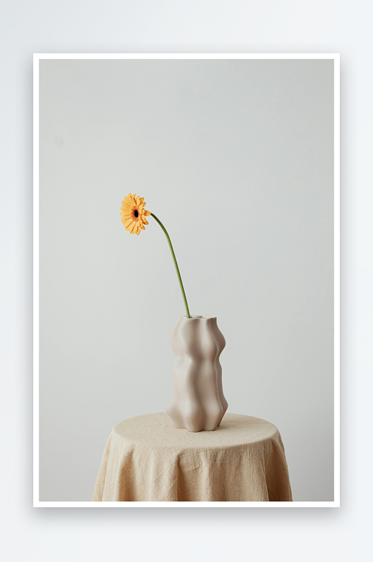 简约花瓶插花静物摄影-众图网