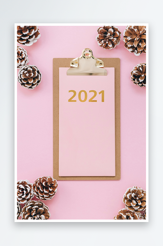 粉色背景松果与2021年记事板-众图网