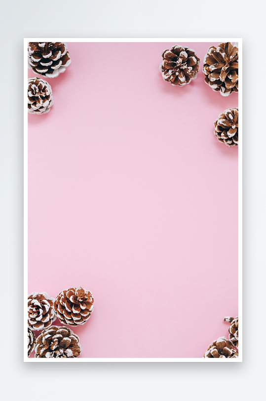 粉色背景松果装饰边框-众图网