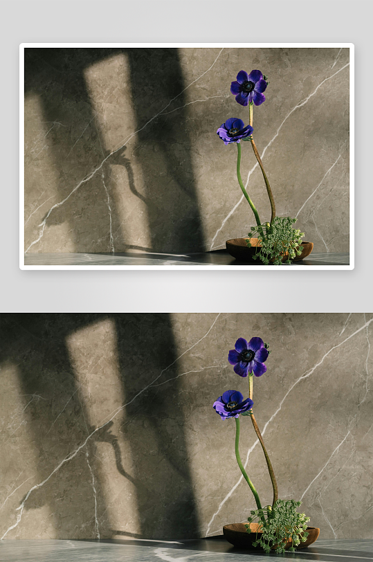 紫色花朵静置于大理石背景-众图网