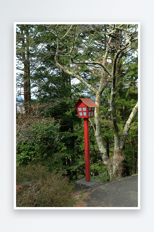 红色灯柱林间小径旁-众图网