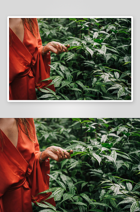 红衣女子林间轻触绿叶-众图网