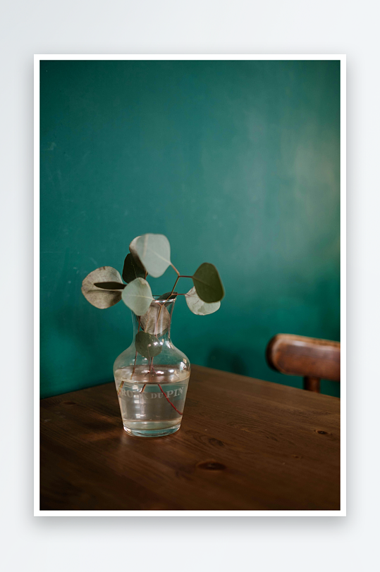 绿叶插花静物摄影-众图网