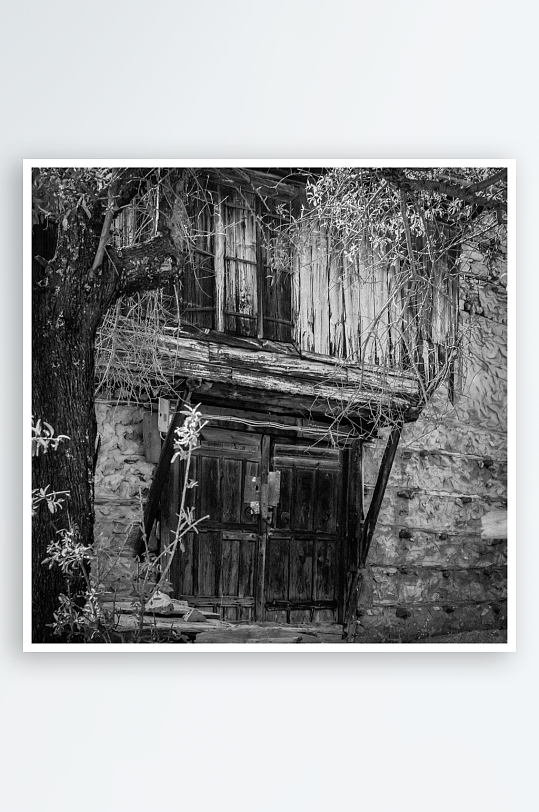 老旧木屋与枯树的黑白影像-众图网