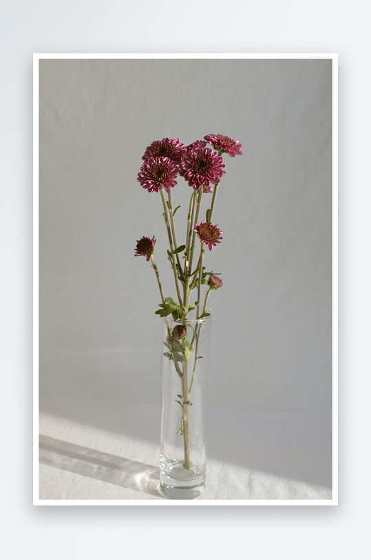 透明花瓶插紫花静物-众图网