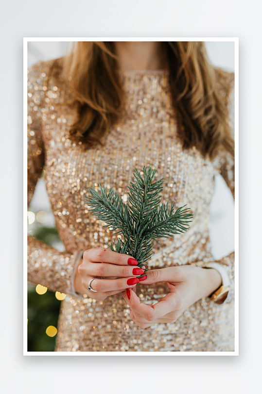 金色礼服手持松枝的优雅特写-众图网