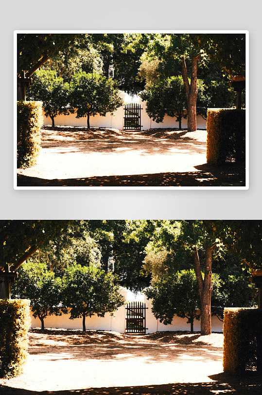 阳光下的庭院入口绿树成荫-众图网