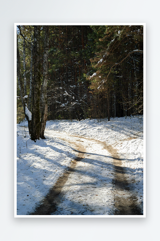 雪后林间小径光影交错-众图网
