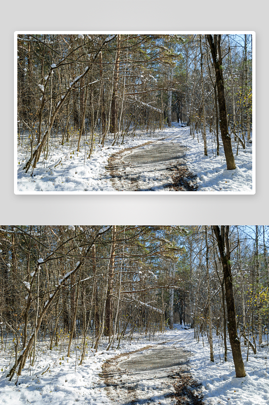 雪后林间小径冬日景象-众图网