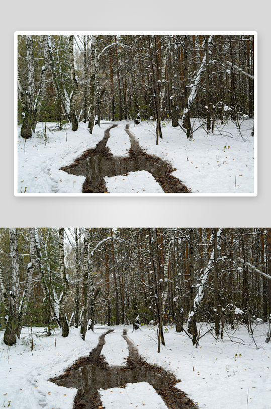 雪后林间小径泥泞积水-众图网