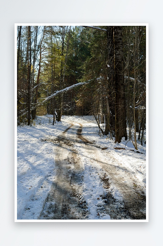 雪地林间小径光影交错-众图网