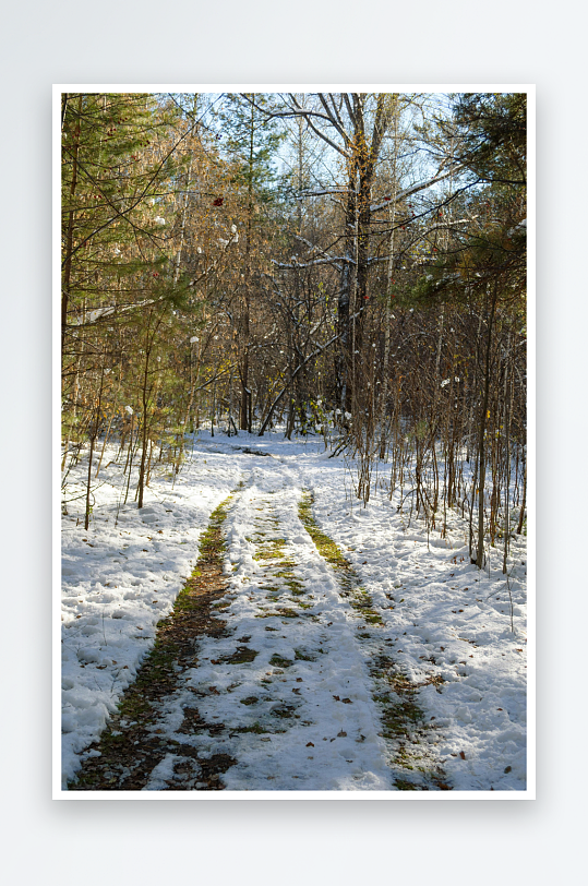 雪地林间小径冬日景象-众图网