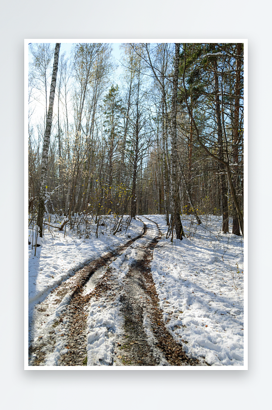 雪地林间小径蜿蜒曲折-众图网