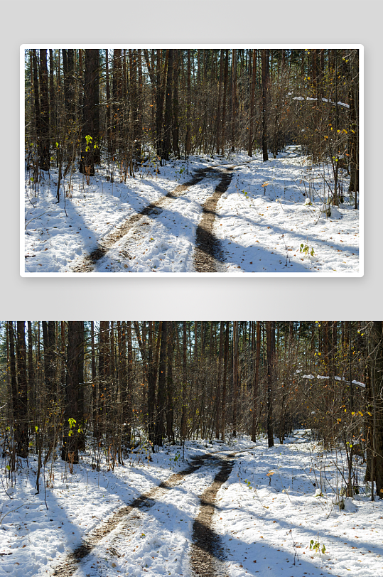 雪地林间小径阳光斑驳-众图网