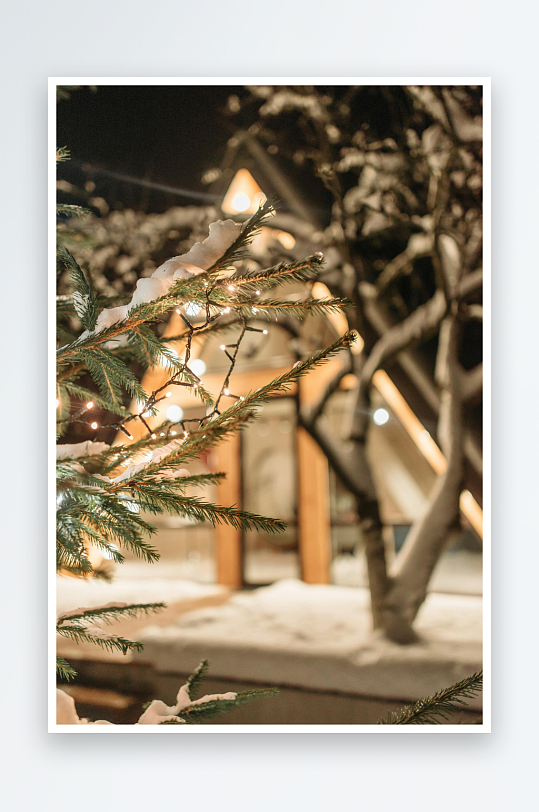 雪夜灯光下的松树枝-众图网