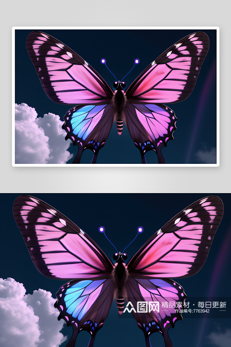 美丽的漂亮蝴蝶翅膀素材