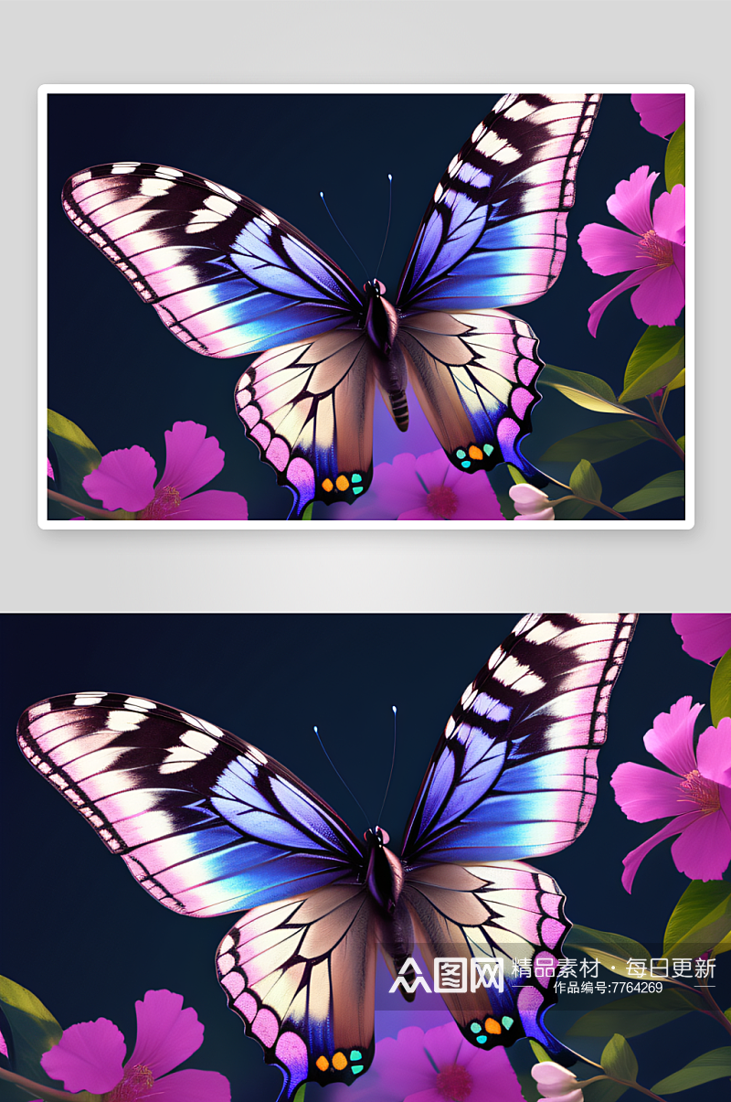 漂亮翅膀的美丽蝴蝶素材