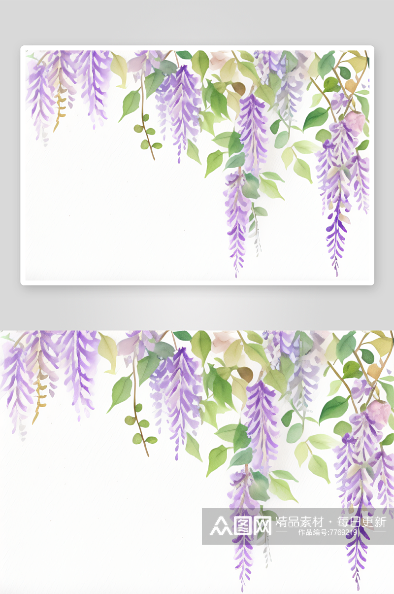 美丽的紫藤花藤在水彩画中呈现素材
