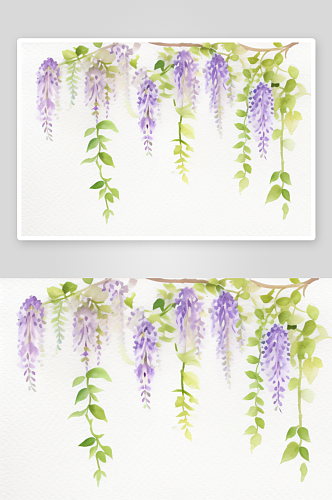 温柔的紫藤花藤与绚丽的水彩画结合