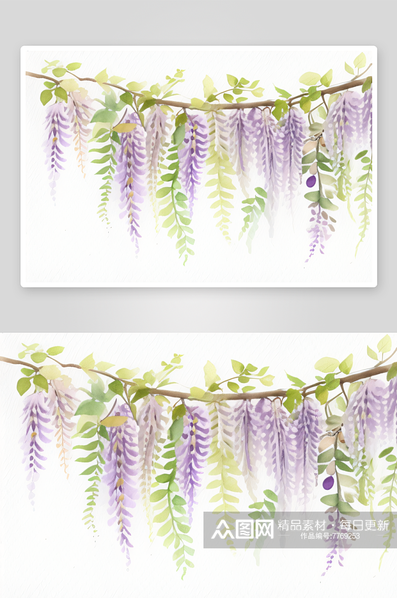温柔的紫藤花藤与绚丽的水彩画结合素材