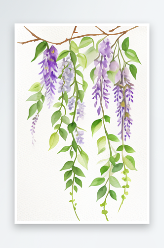 水彩画中的紫藤花藤与自然元素