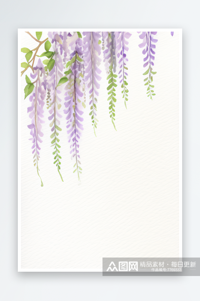 紫藤花藤在水彩画中的生动呈现素材