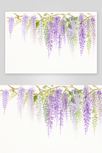水彩画中的紫藤花藤与大自然融合