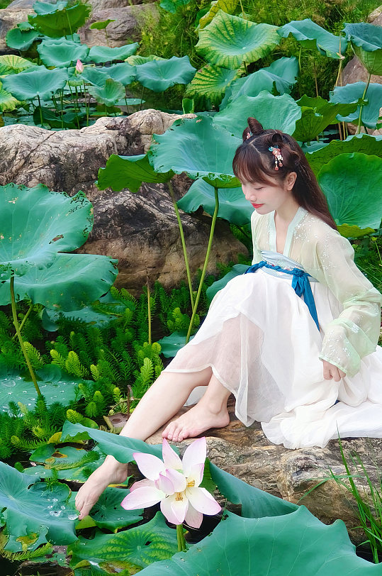 夏季夏天荷花荷叶汉服女孩人物摄影图