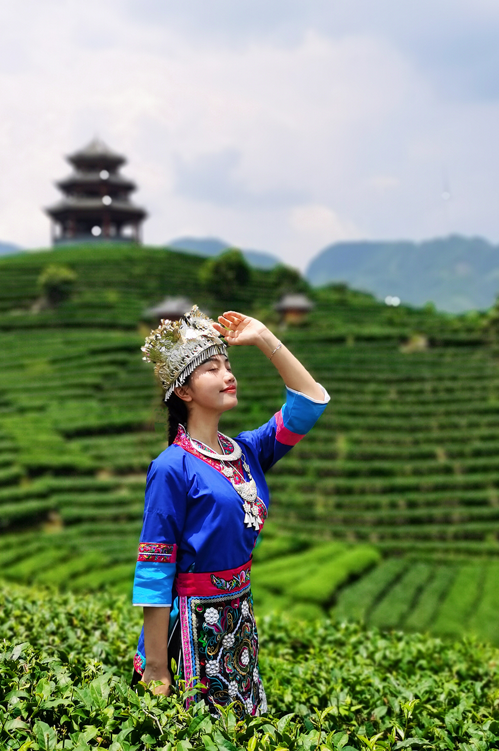 少数民族风茶园采茶叶人物摄影图素材
