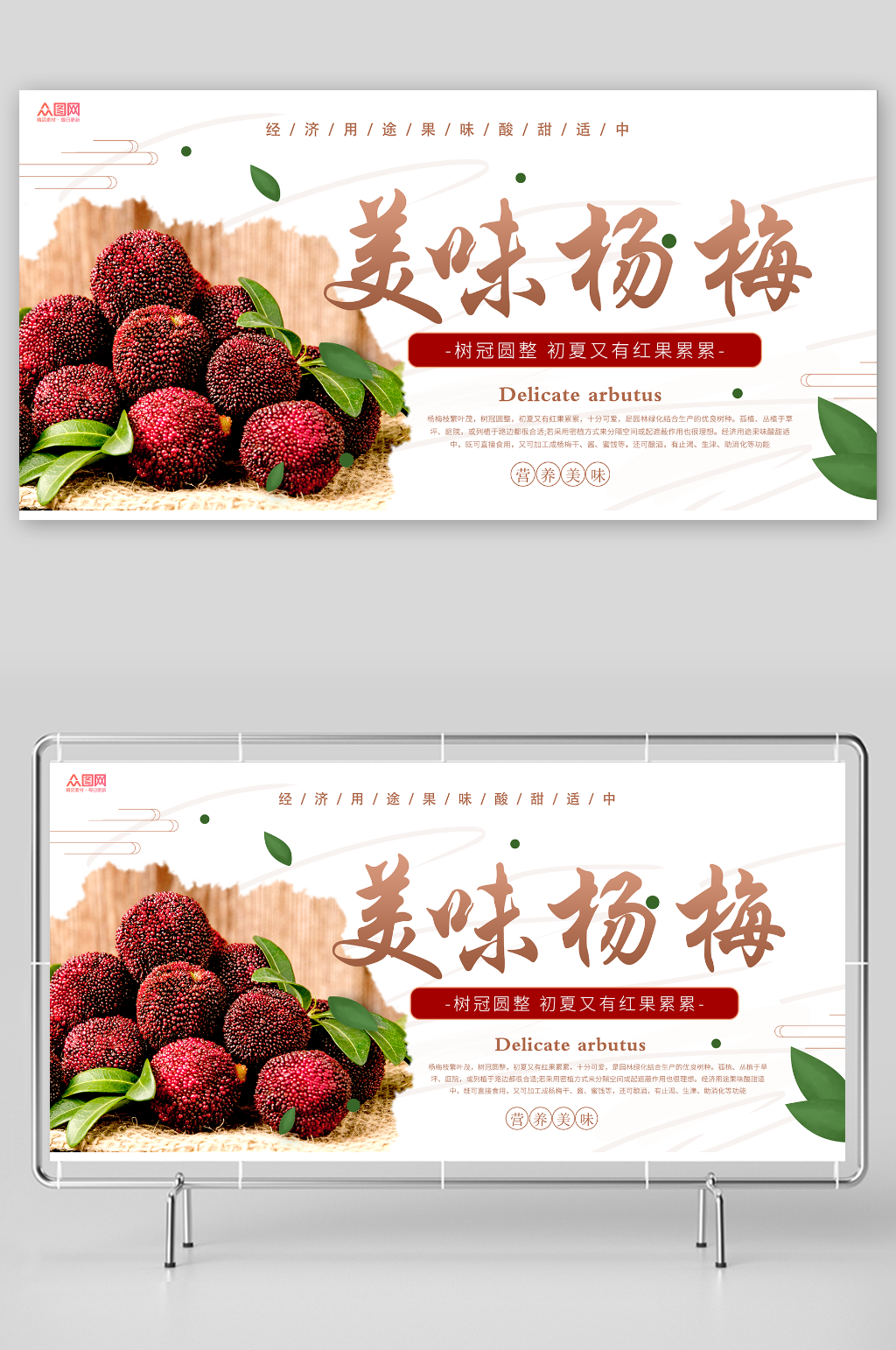 新鲜杨梅夏季水果果园促销展板素材