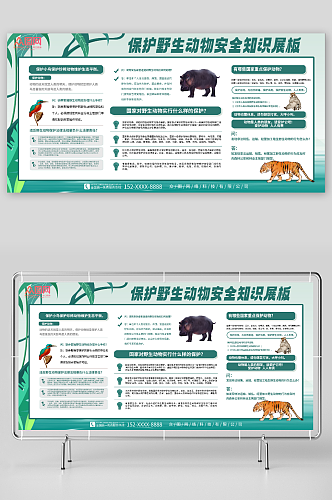 动物安全知识展板保护野生动物宣传栏展板
