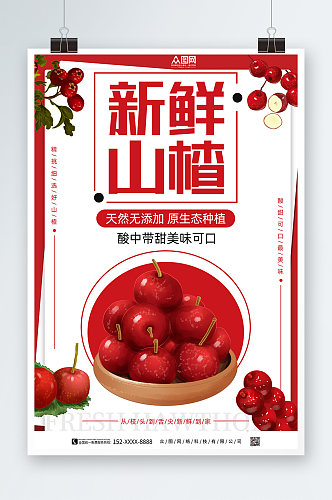 红色山楂水果海报
