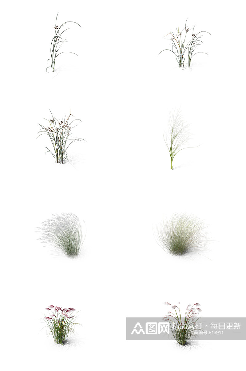 小麦芦苇小草丛草三叶草蕨类植物1素材
