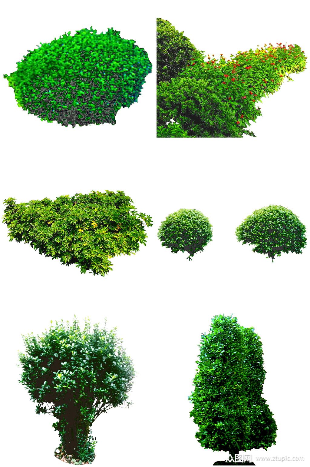 灌木免扣后期素材