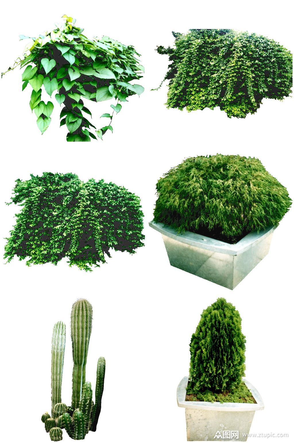 灌木免扣后期素材