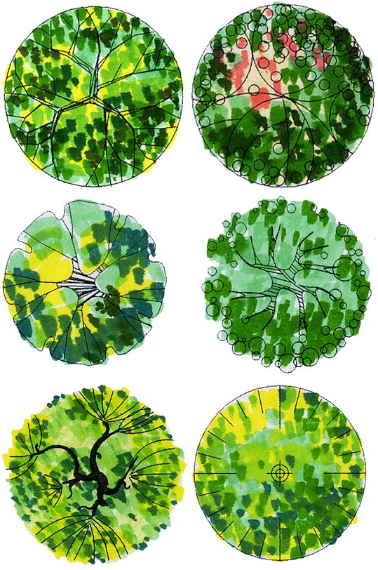 彩平图植物素材 (2)
