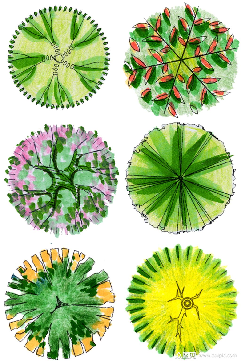 彩平图植物素材 (3)