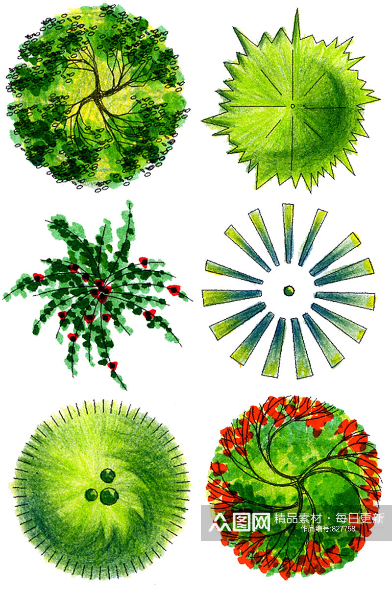 彩平图植物素材 (5)素材
