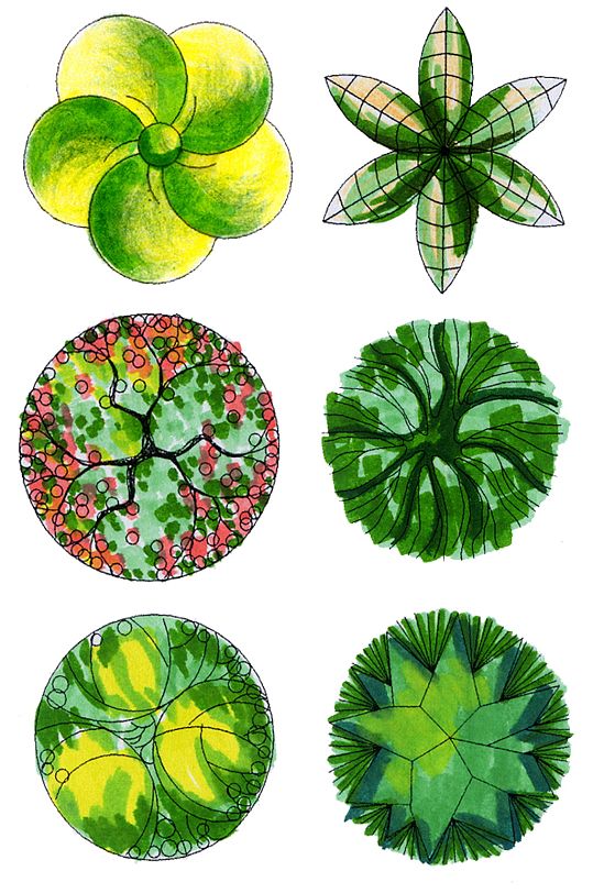 彩平图植物素材 (10)