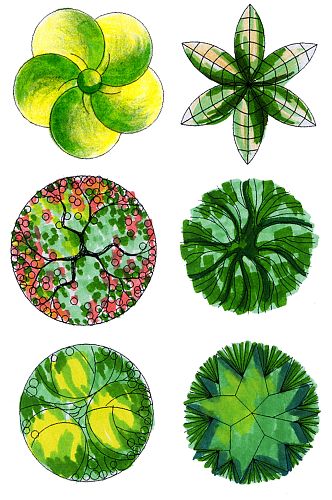 彩平图植物素材 (10)