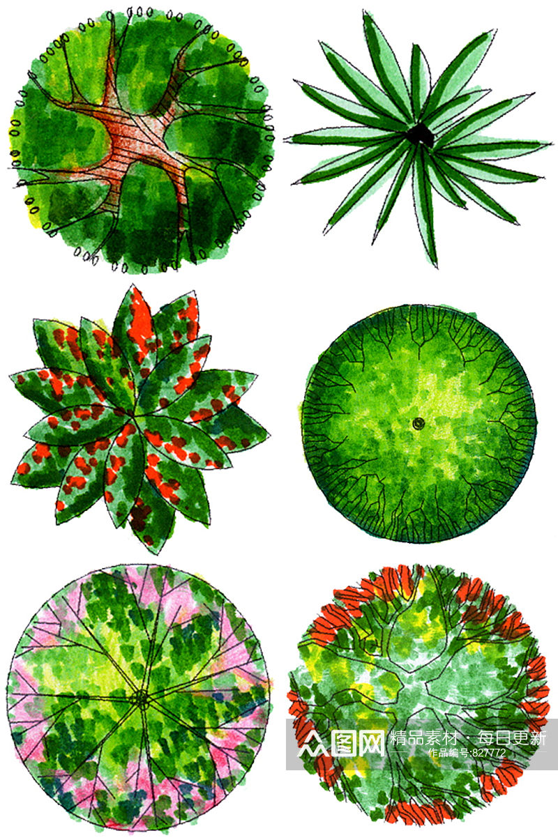 彩平图植物素材 (11)素材