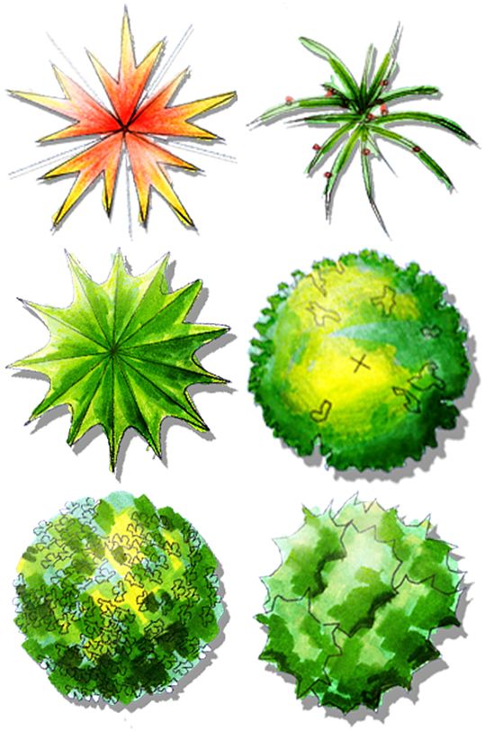 彩平图素材2 (8)