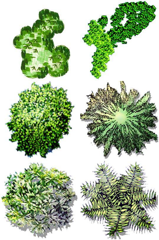 彩平图素材2 (9)