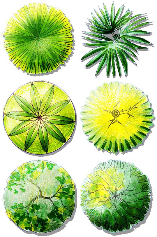 彩平图图片-彩平图素材下载-众图网