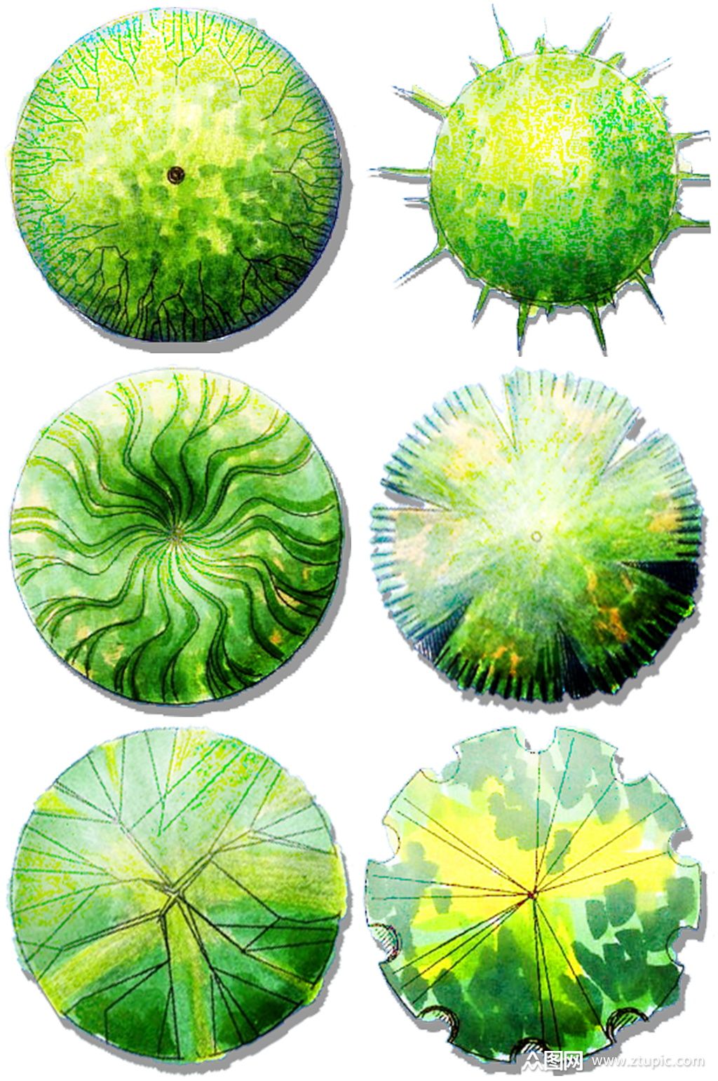 彩平图素材2 (15)