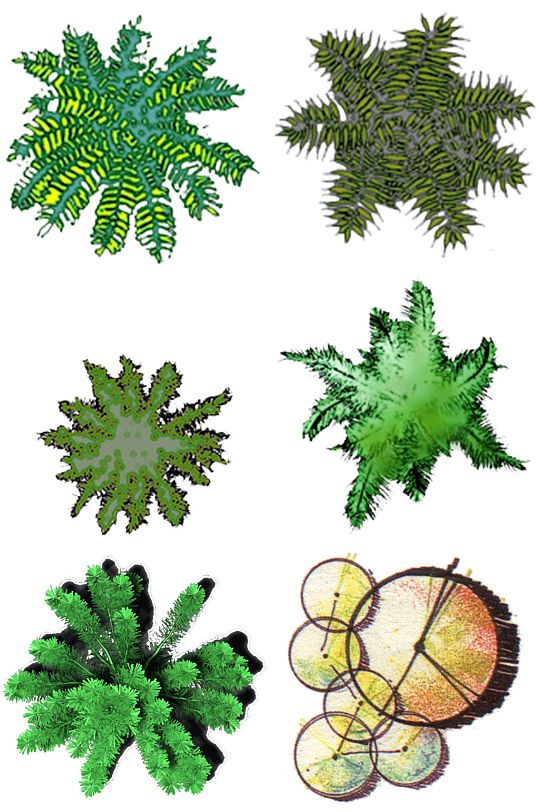 彩平图素材2 (30)